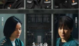 监狱的电视剧,揭秘监狱里的真实人生