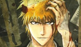 动漫死神,幽冥之境的守护者传奇