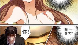 动漫肉嫁,穿越次元的爱恋之旅